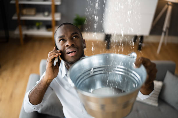 Best Commercial water damage restoration  in Quinebaug, CT
