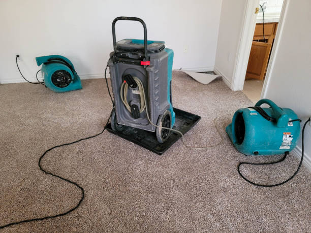  Quinebaug, CT Water damage restoration Pros