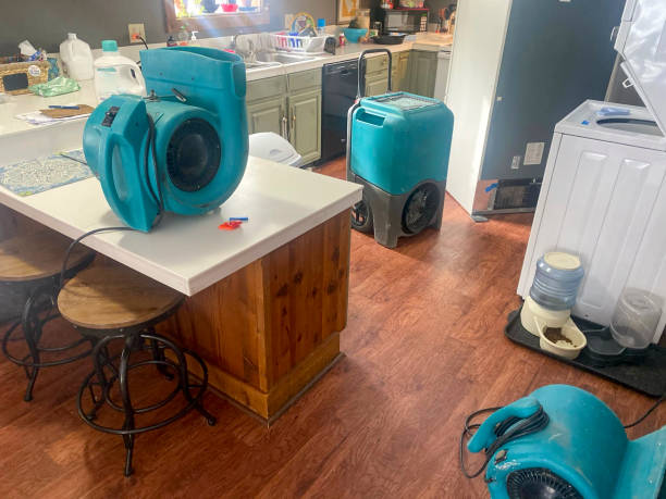Best Mold removal after water damage  in Quinebaug, CT