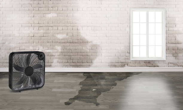 Water damage restoration experts in Quinebaug, CT