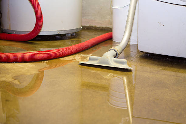 Best Flood damage cleanup  in Quinebaug, CT