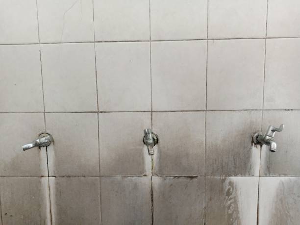 Best Mold removal after water damage  in Quinebaug, CT