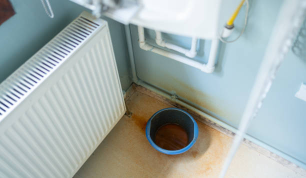 Best Water damage restoration near me  in Quinebaug, CT