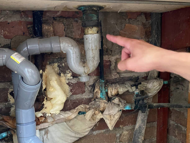 Best Ceiling water damage repair  in Quinebaug, CT