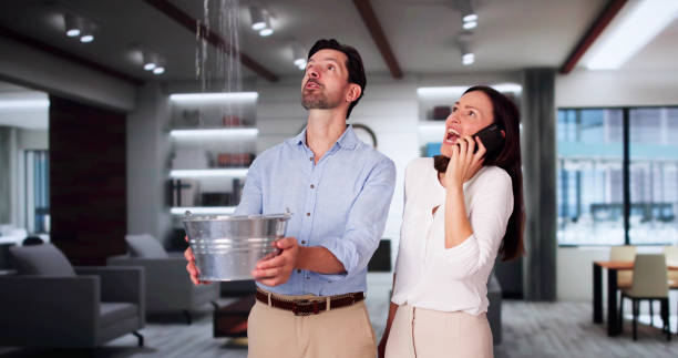 Best Basement water damage restoration  in Quinebaug, CT