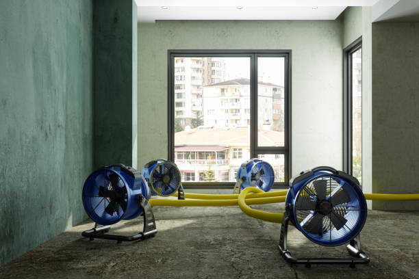 Best Mold removal after water damage  in Quinebaug, CT